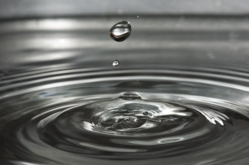 Portable Water Purifier